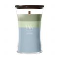 Verdant Woods Trilogy Bougies WoodWick