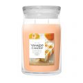 Tangerine & Vanilla Jarres Signature