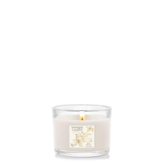 Slow Bloom Mini Bougie