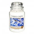 Bougie Grande Jarre Midnight Jasmine Yankee Candle