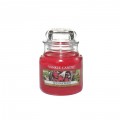 Bougie petite Jarre Red Raspberry Yankee Candle