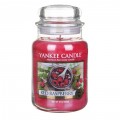 Bougie grande Jarre Red Raspberry Yankee Candle