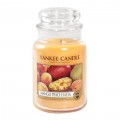 Yankee Candle Bougie Grande Jarre Mango Peach Salsa