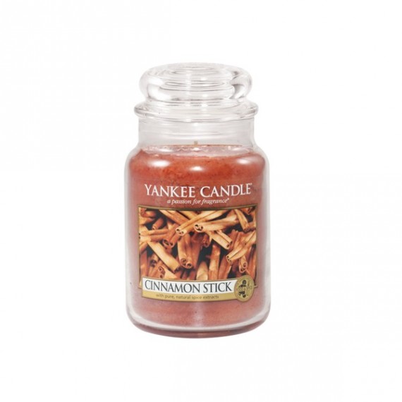 Yankee Candle Petite Jarre Cinnamon Stick