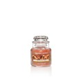 Yankee Candle Petite Jarre Cinnamon Stick