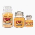 Yankee Candle Bougies Jarres Mango Peach Salsa