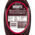 Chocolate Syrup Squeeze Hershey's