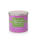Yankee Candle Positively Glowing - Lavender Vanilla